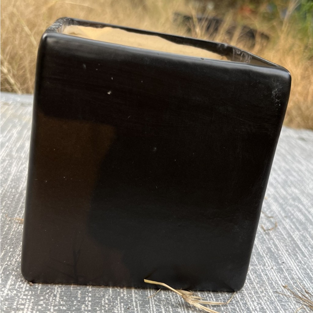 Chậu sứ vuông 2 size màu đen men nhám – 16x16 và 11.5x11.5cm -  Chậu hoa, cây kiểng - Hỗ trợ thay chậu khi mua cây