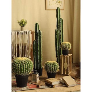 Cây giả, cây xương rồng decor trang trí nhiều cỡ