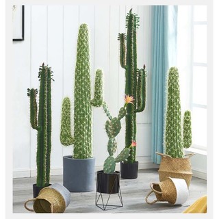 Cây giả, cây xương rồng cao 1m10 và 1m30 trang trí decor