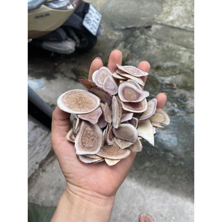 Nhung hươu khô thái lát 50g - 100g