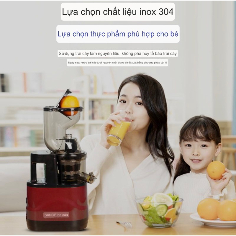 Máy ép chậm trái cây Hoa Quả Công Suất mạnh 500W bh 12 tháng