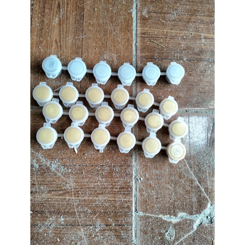 Màu nhũ vàng nhũ bạc dây 3 ml 6 ô