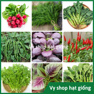 Hạt giống rau củ quả 1 gói nhỏ trồng thử trải nghiệm