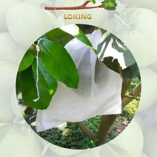[25x30cm] 100 Túi Bọc Trái Cây Bưởi Diễn Có Dây Buộc - LOKING
