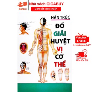 Sách - Đồ giải huyệt vị cơ thể - Tác giả Hán Trúc (Minh Lâm)