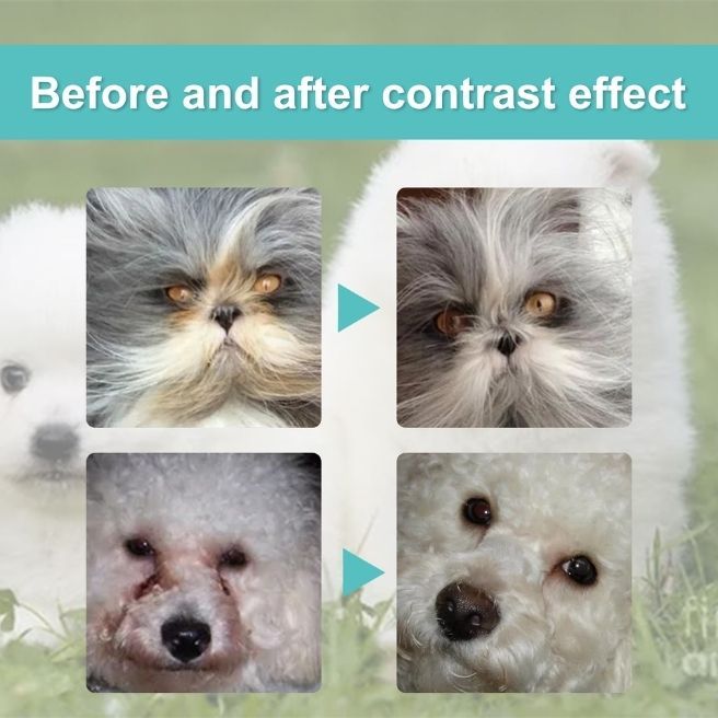 Yegbong - Nhỏ giảm tuyết lệ cho chó, giảm chảy nước mắt cho chó - Goumao pet.