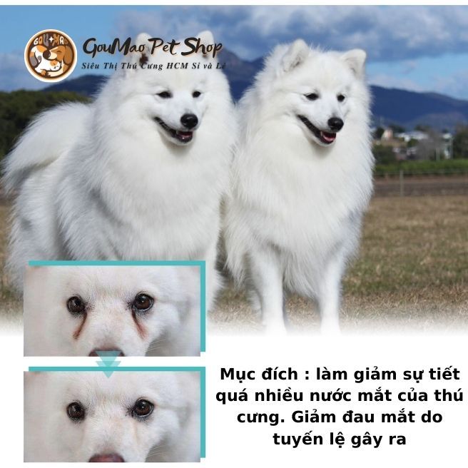 Yegbong - Nhỏ giảm tuyết lệ cho chó, giảm chảy nước mắt cho chó - Goumao pet.