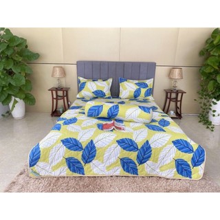 BỘ cHĂN DRAP GỐI COTTON HOMTEX 1M8x2Mx25cm