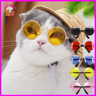 Mắt Kiếng Thời Trang Cho Chó Mèo - Phụ kiện thời trang cho chó mèo - Pet Toys