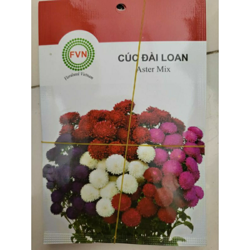 Hạt Giống Cúc Đài Loan  Astermix FVN (Gói 15 hạt)