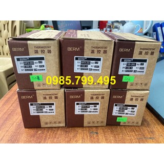 Đồng hồ nhiệt độ TED-2001 BERM (Bộ điều khiển nhiệt độ)