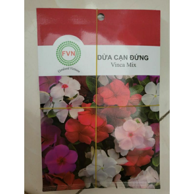 Hạt Giống Dừa Cạn Đứng Mix Màu FVN (Gói 15 hạt)