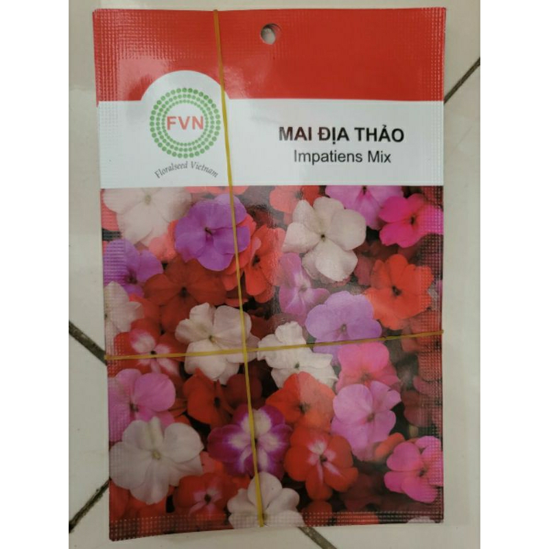 Hạt Giống Mai Địa Thảo Mix Màu FVN (Gói 15 hạt)