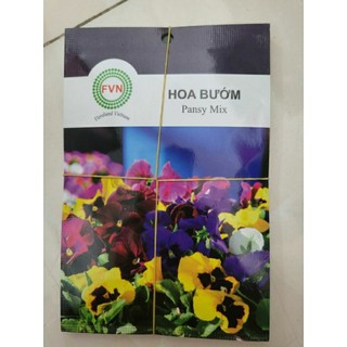 Hạt giống hoa bướm pansy mix fvn