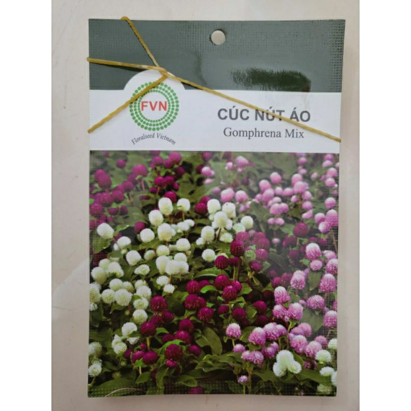 Hạt Giống Cúc Nút Áo Mix FVN (Gói 15 hạt)