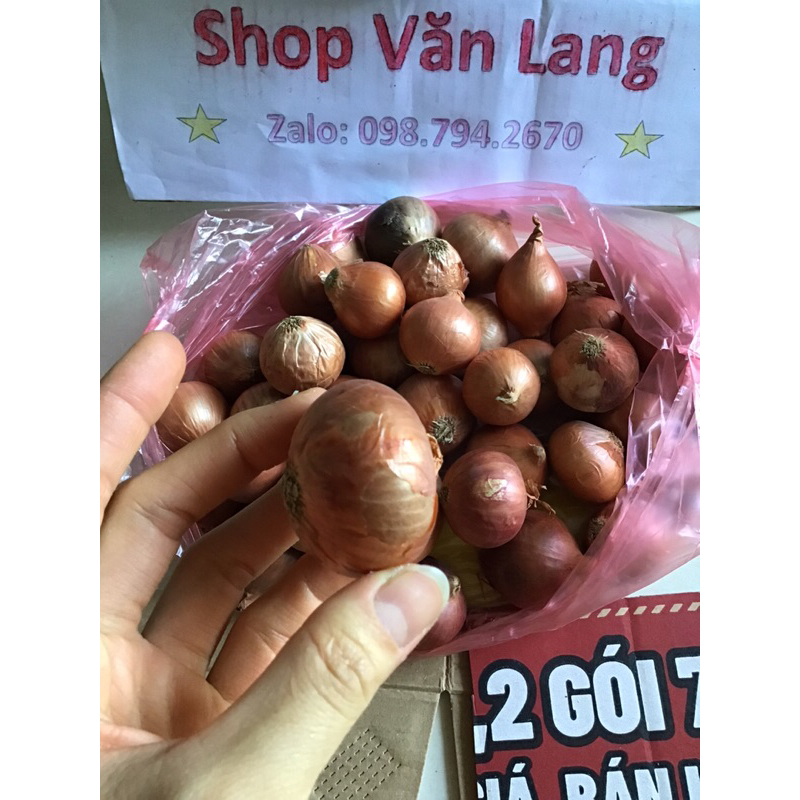 1 kg hành khô một nhánh - hành khô cô đơn thơm ngon