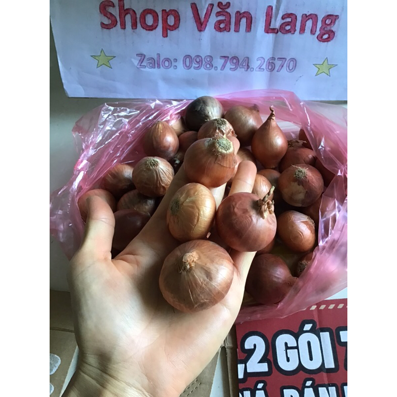 1 kg hành khô một nhánh - hành khô cô đơn thơm ngon