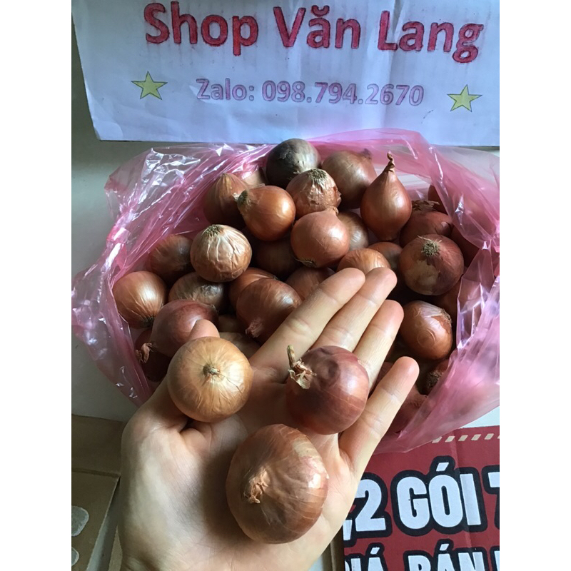 1 kg hành khô một nhánh - hành khô cô đơn thơm ngon