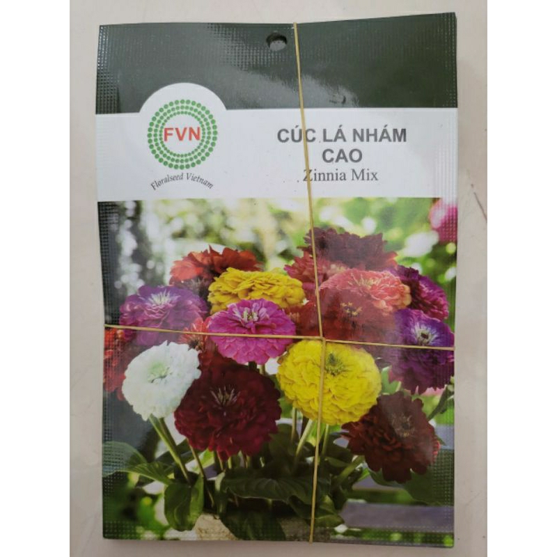 Hạt giống cúc lá nhám cao mix màu FVN (15 hạt)