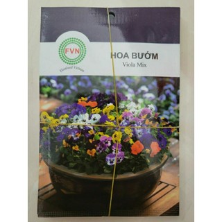 Hạt giống hoa bướm viola mix fvn