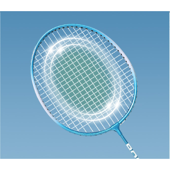 Vợt cầu lông tập thể thao vợt đánh cầu lông khung thép giadungvtv