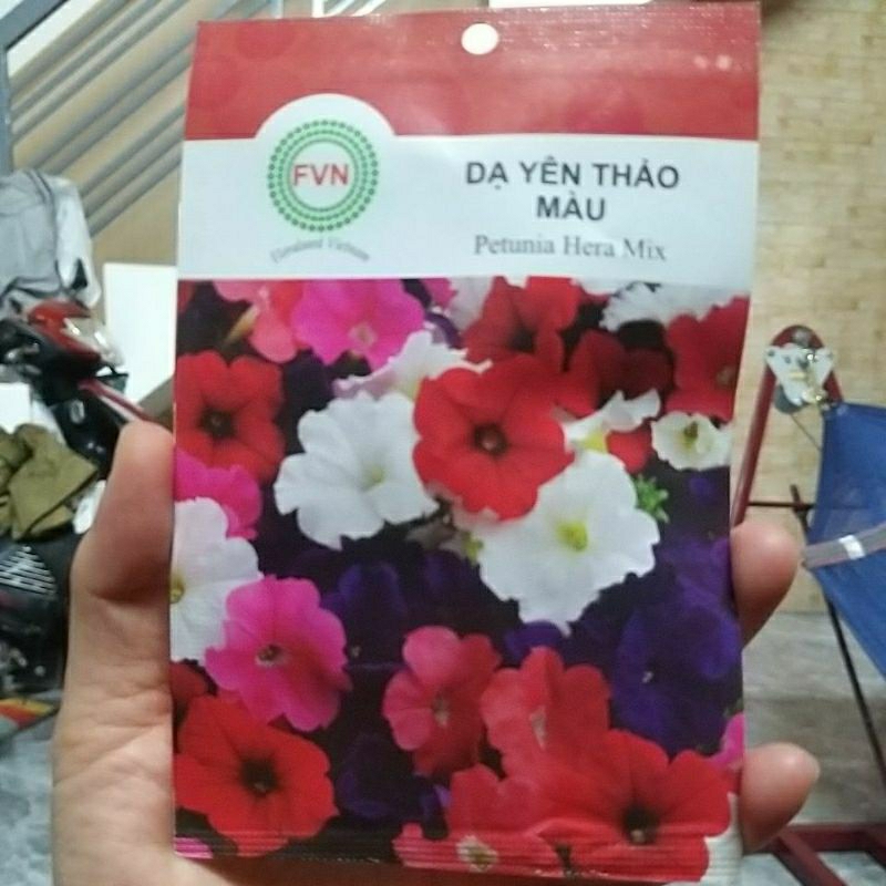 Hạt giống dạ yên thảo mix màu FVN (15 hat)