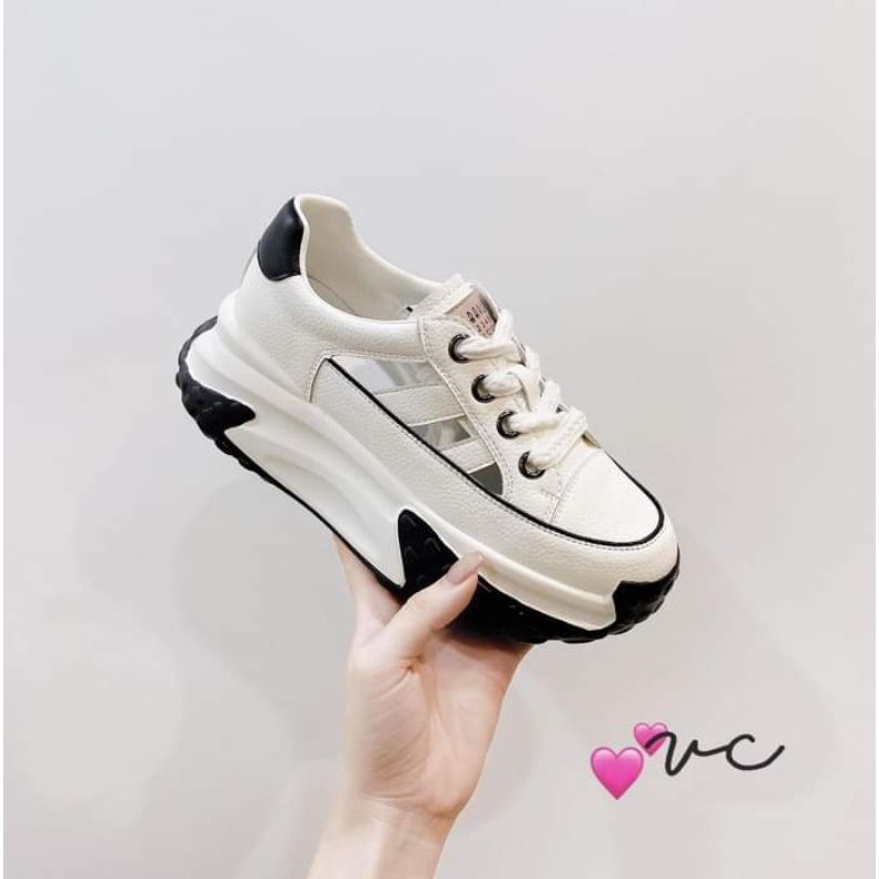 206 giày thể thao