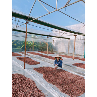Bột ca cao nguyên chất Nam Trường Sơn gói 500g