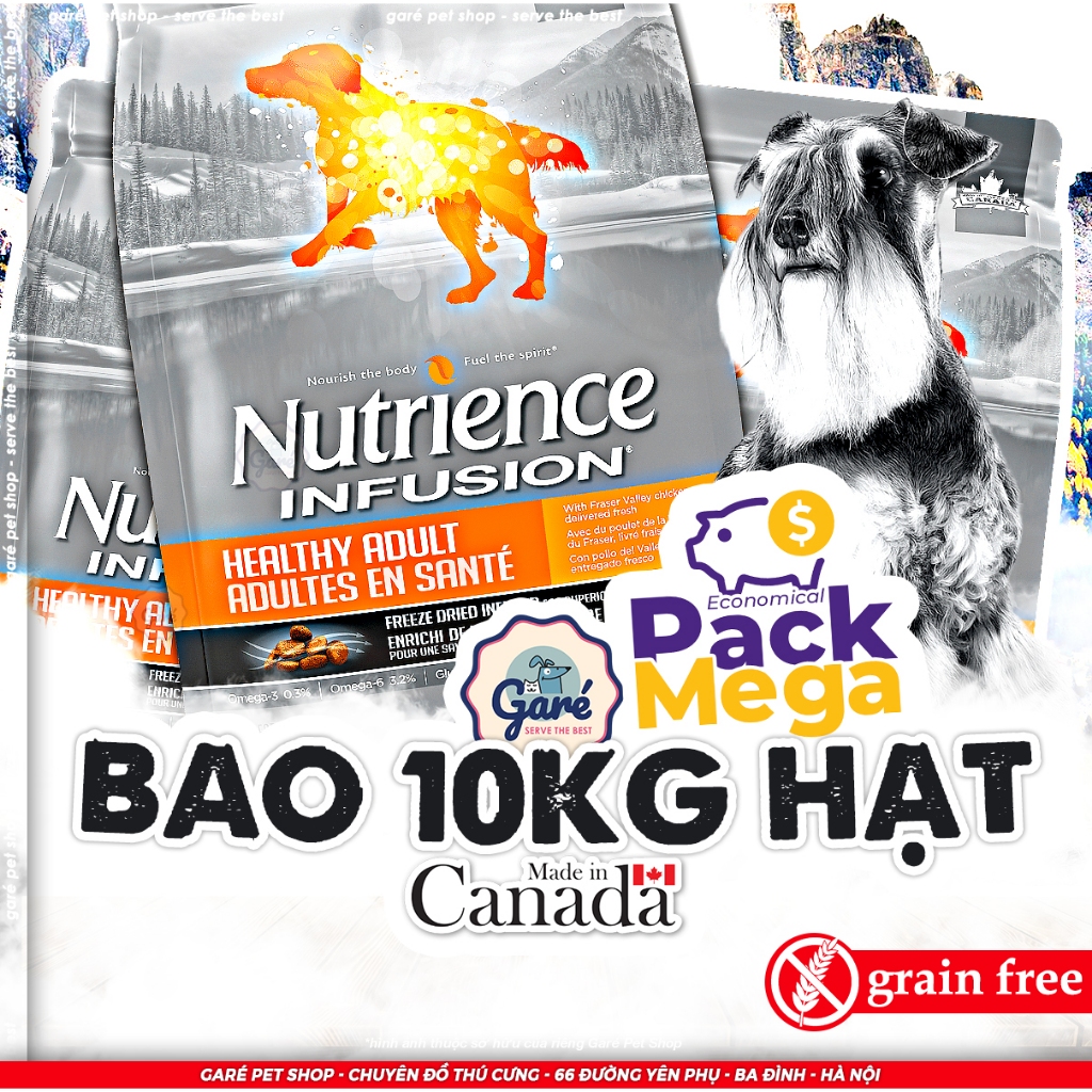 BAO 10KG HẠT Chó Nutrience Infusion Healthy Adult cho Chó giống lớn trưởng thành #MEGAPACK