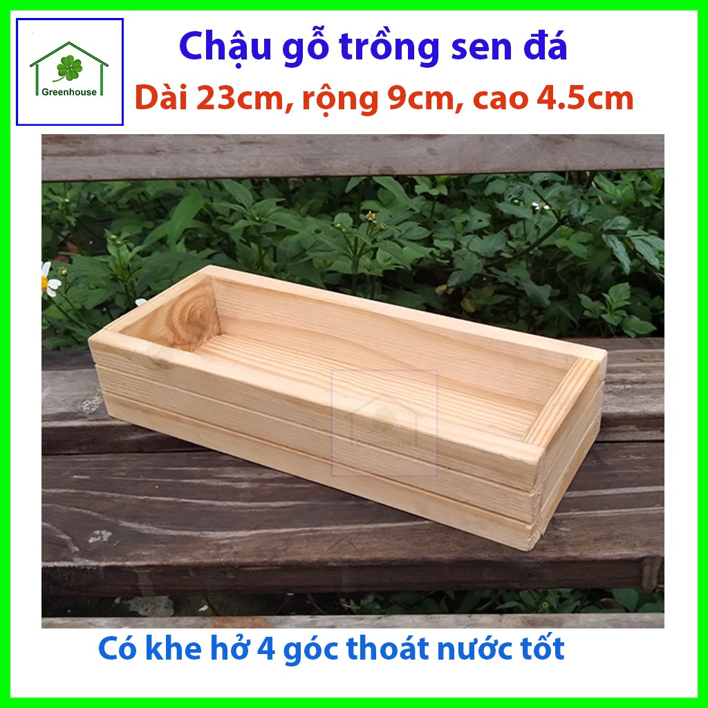 Chậu gỗ trồng sen đá, tiểu cảnh, bonsai, decore trang trí nhà cửa, bàn làm việc Greenhouse-ngoinhaxanh