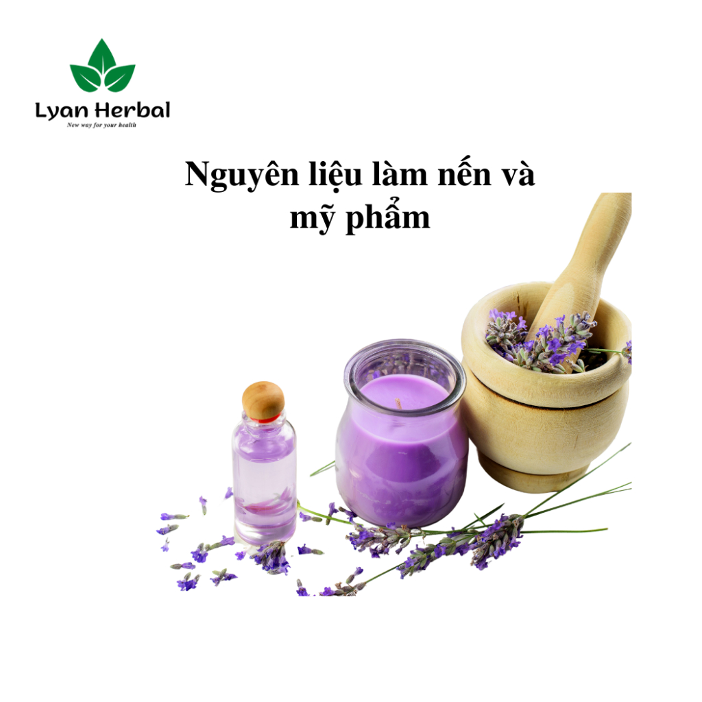 Lavender khô  hoa oải hương khô nụ làm túi thơm lavender, khử mùi đuổi muỗi, trà thảo mộc lavender