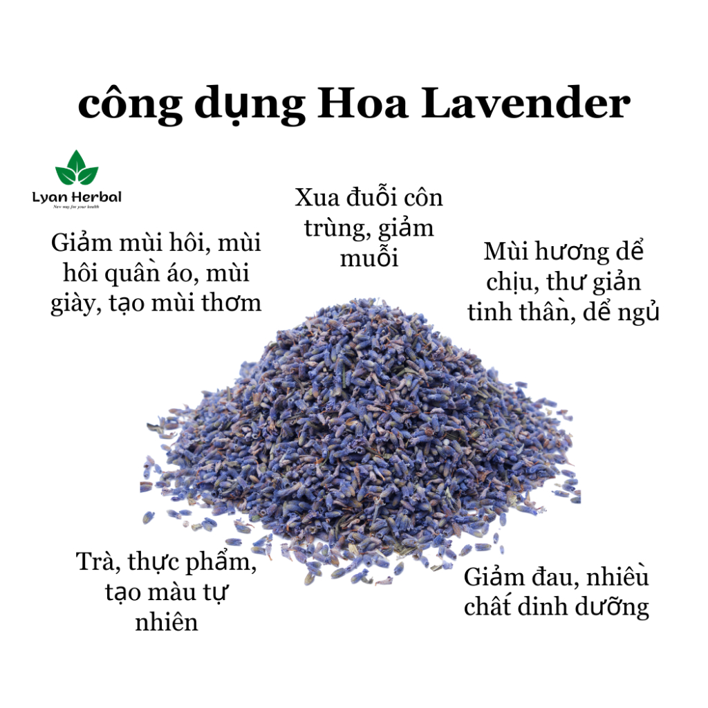 Lavender khô  hoa oải hương khô nụ làm túi thơm lavender, khử mùi đuổi muỗi, trà thảo mộc lavender