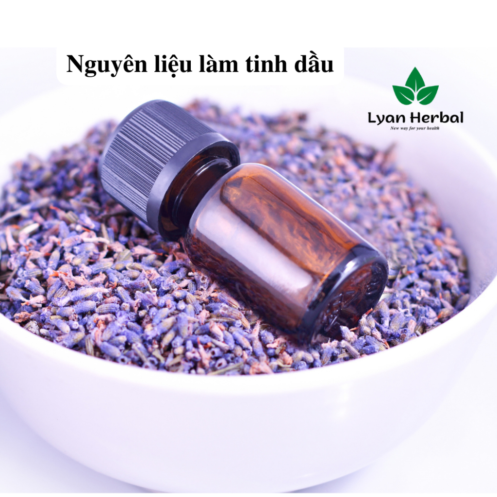 Lavender khô  hoa oải hương khô nụ làm túi thơm lavender, khử mùi đuổi muỗi, trà thảo mộc lavender