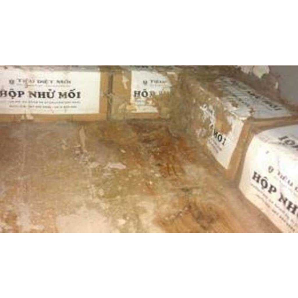 Bộ sản phẩm diệt mối tận gốc