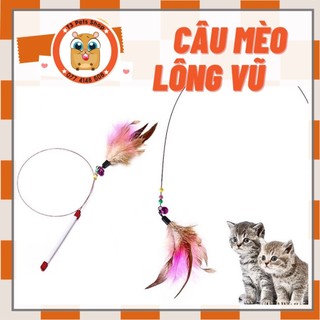 Cây câu mèo dài và lông vũ bằng thép