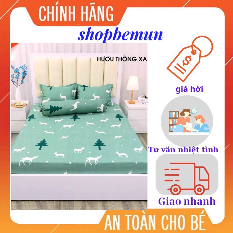 Bộ ga gối cottong Poly bo chun M6x2m, M8x2m
