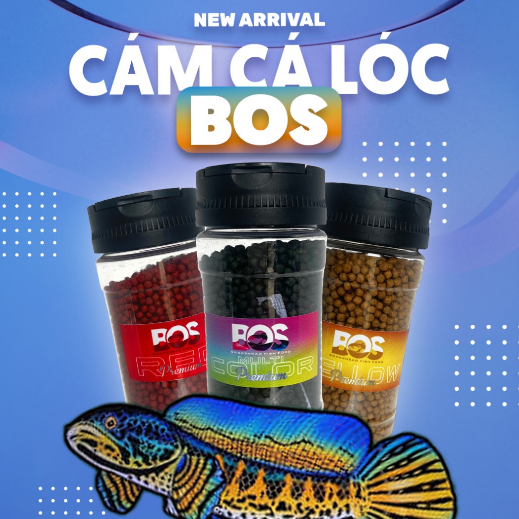 Cám Chiết BOS Dành Cho Các Loại Cá Lóc Xanh, Đỏ, Vàng Hũ 60g.  Hỗ Trợ Tăng Màu, Tăng Kích Thước Vây, Kỳ. Hũ 60g