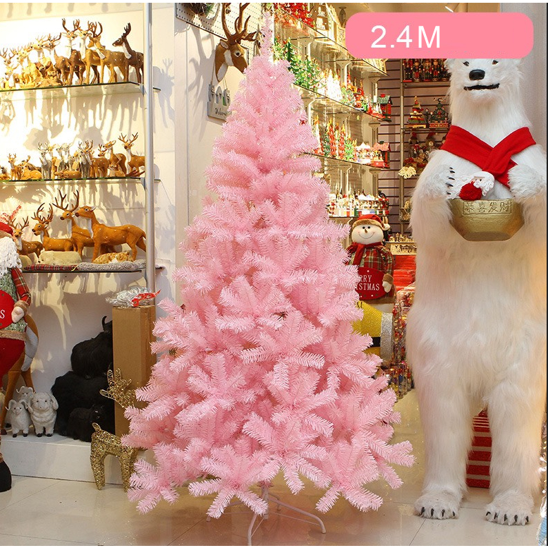 Cây thông Hồng Trơn 2.4 MÉT Dày Rậm C14 Nhiều Size Trang Trí Noel Giáng Sinh