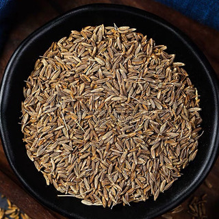 Hạt thì là Ấn Độ, Bột Thì Là Ấn Độ (Cumin seed, Cumin Powder) [Mini Food]