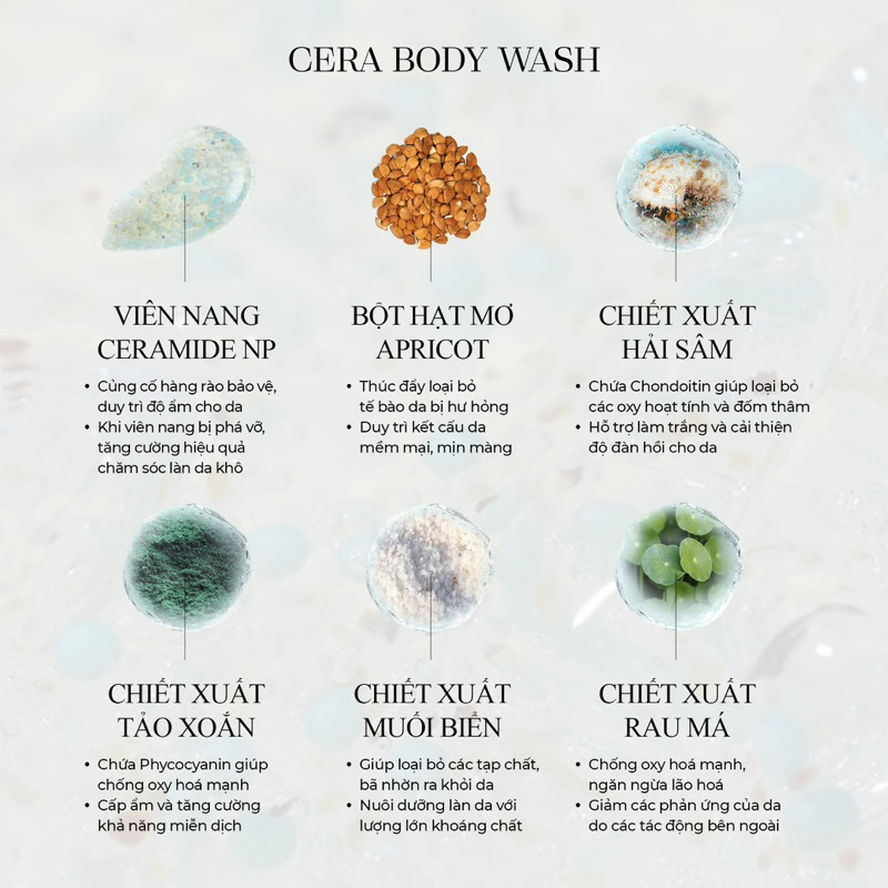 Combo 2 dòng Sữa tắm The Clean & The Cera Body Wash 500ml