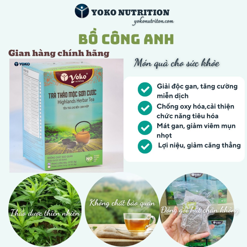 TRÀ SƠN CƯỚC - BỒ CÔNG ANH [ Giải độc gan, tăng cường hệ miễn dịch ..]