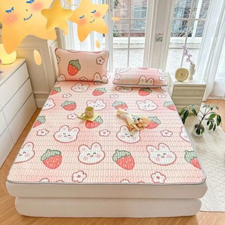 Chiếu điều hòa cao su non Latex ga điều hòa ga trải đệm kèm 2 áo gối kích thước 1m4 1m5 1m6 1m8 mẫu hổ xanh