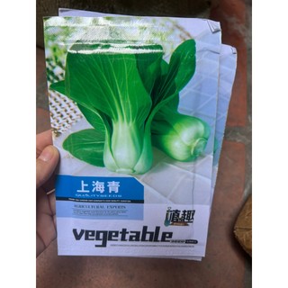 Hạt giống rau Cải Chip - Cải Chít - Cải Thìa hàng nhập F1 cây to, giòn, ngọt đậm