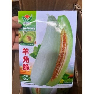 Hạt giống Dưa lê chuối hàng nhập F1 giòn ngọt_Dưa Lê quả dài Yang Jiao Mi