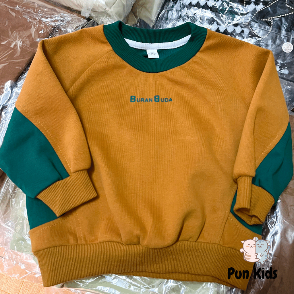 Áo sweater nỉ da cá cho bé trai bé gái từ 9-19kg