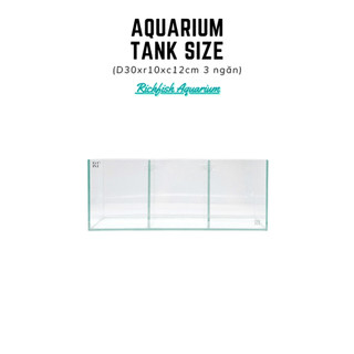 Bể cá betta d30xr10xc12cm 3 ngăn