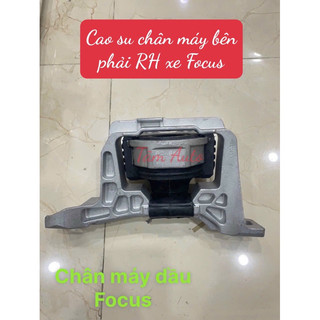 Cao su chân máy đầu máy bên phải xe Ford Focus