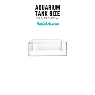 Bể bán cạn, terrarium nhỏ D20xR20xC8cm