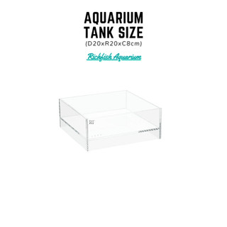 Bể bán cạn mini D20xR20xC8cm nâng đáy 2cm