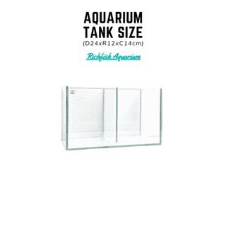 Bể cá mini nuôi cá betta d24xr12xc14cm 2 ngăn